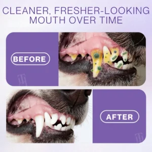 🌟 Official Store | RZXEA™ Pet Zinc-Gluconate Oral Spray