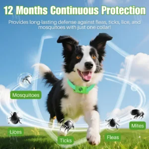 RZXEA™ 12-Month Natural Prevention Collar 🌿 Vet-Grade Plant Formula | Flea & Tick Defense