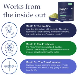 RZXEA™ Tartar & Plaque Remover 🛡️ Vet Recommended