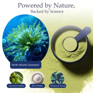 RZXEA™ Tartar & Plaque Remover 🛡️ Vet Recommended