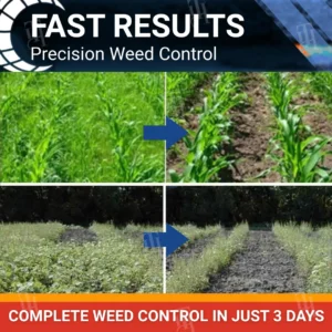 🏷️ EXCLUSIVE DEAL! 50% OFF - RZXEA™ Halauxifen-methyl Cereals Herbicide