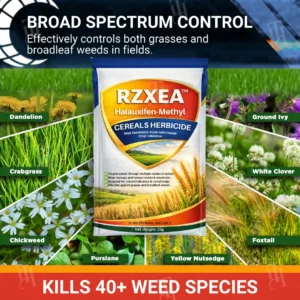 🏷️ EXCLUSIVE DEAL! 50% OFF - RZXEA™ Halauxifen-methyl Cereals Herbicide