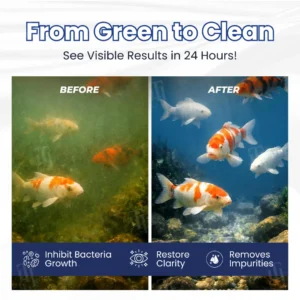 ✨ Zero Math, Zero Stress! | 🌊 Just Pour & Walk Away |RZXEA™ 24H Max-Clear Bio-Engine