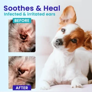 RZXEA™ Pet EarPro Drops FM+ (𝟟𝟘% 𝕆𝔽𝔽 𝗘𝗡𝗗𝗦 𝗜𝗡 𝟭𝟬 𝗠𝗜𝗡𝗨𝗧𝗘𝗦)